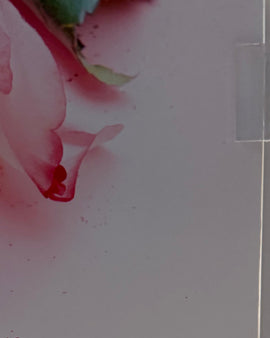 Side panel of Mother's Day gift box featuring heartfelt poem and pink rose artwork